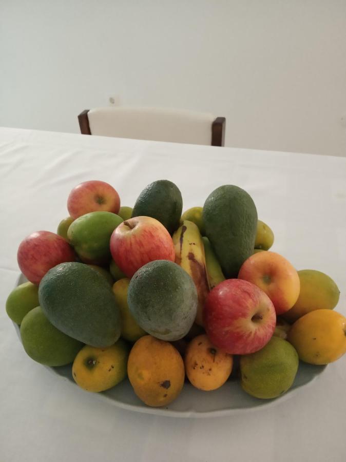 Ribeira Grande Casa Familiar Gilda Bed & Breakfast エクステリア 写真